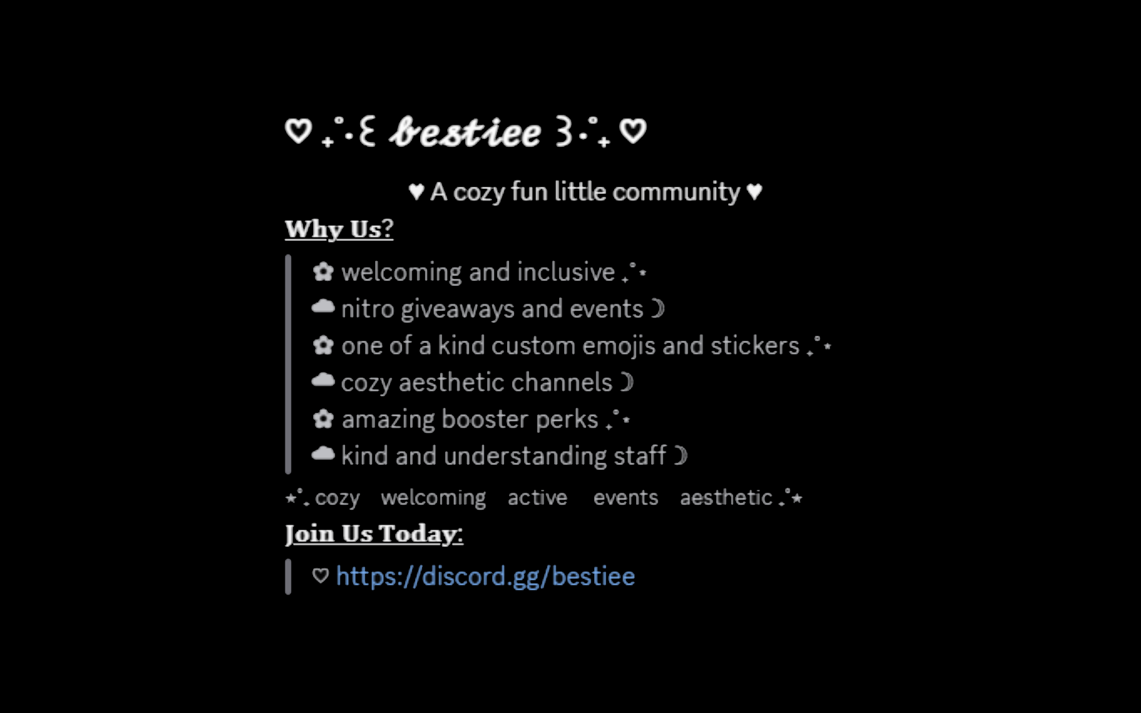 Advertisement Creation - Bestiee